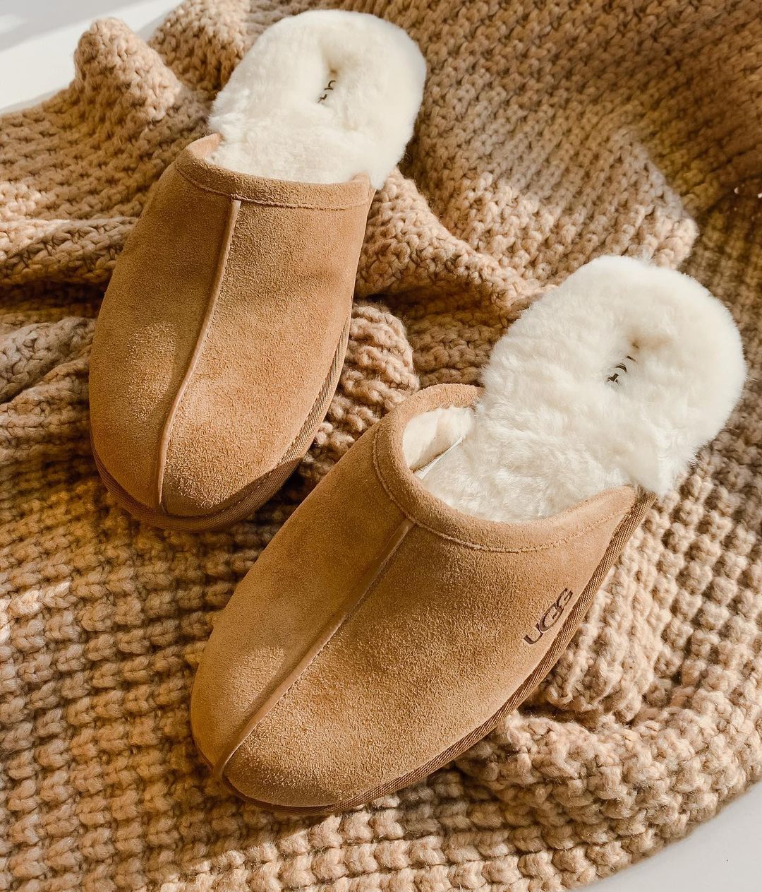 Men's Slippers