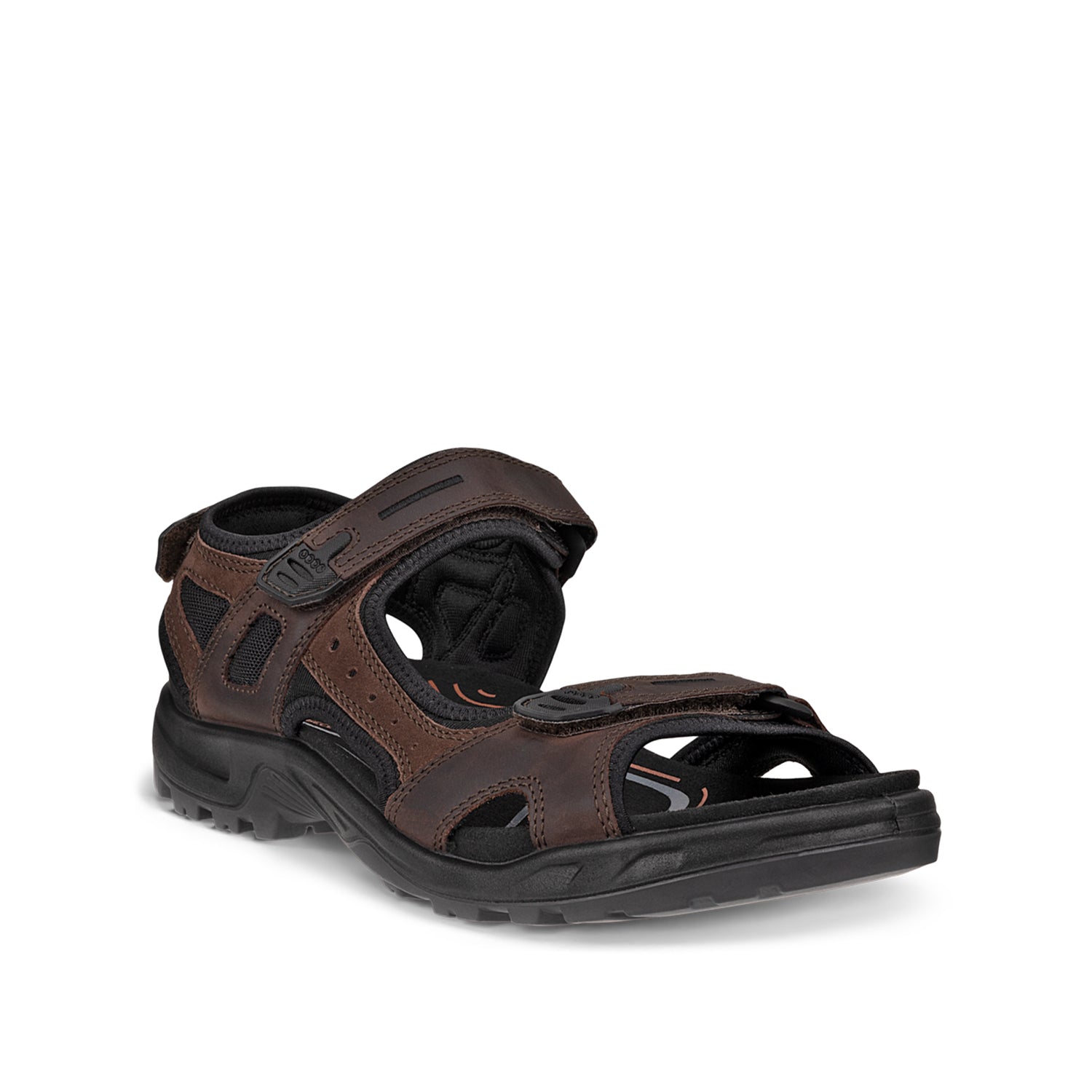 ECCO Men's Offroad in Mocha