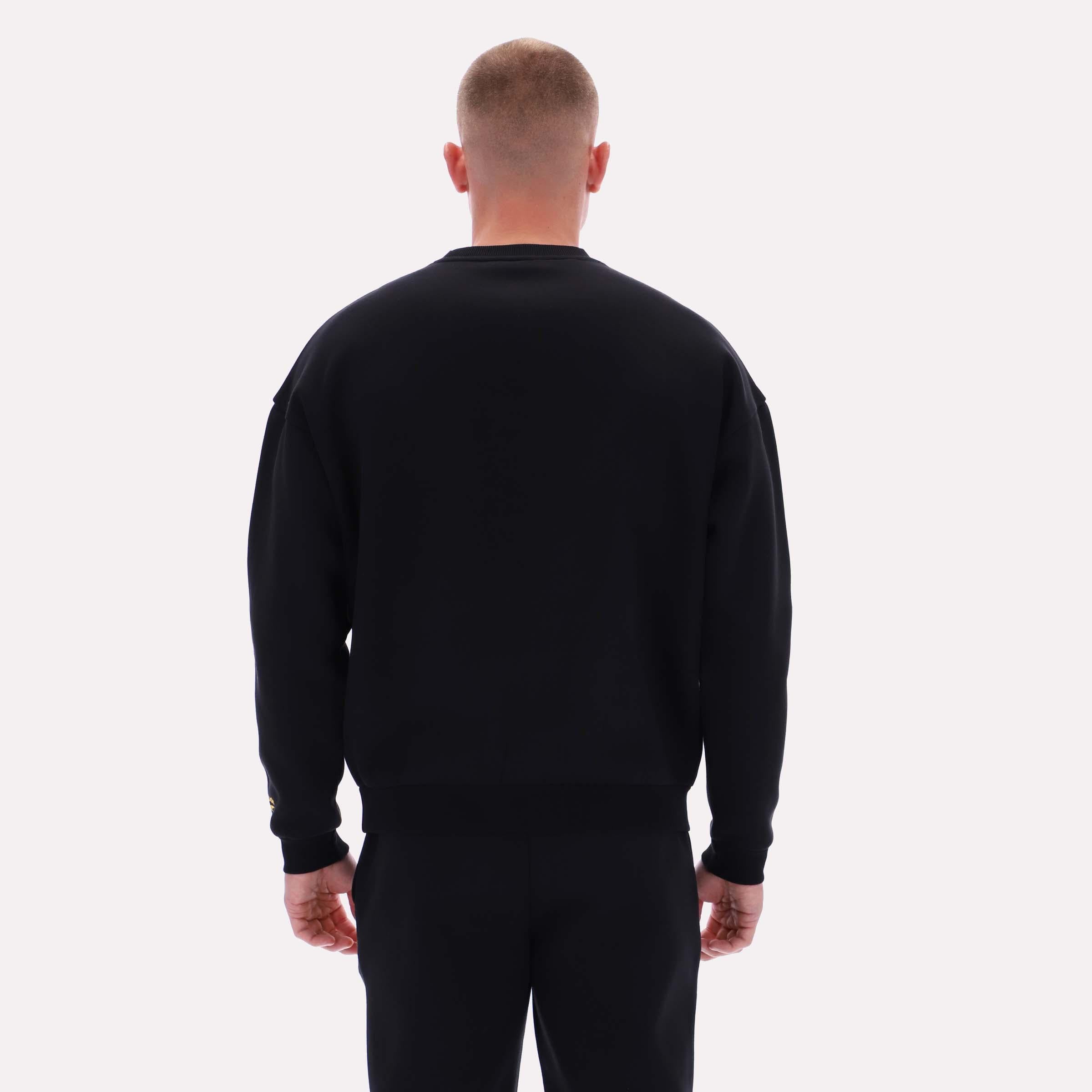 Reebok Apparel  Men's Cottle Sweatshirt Reebok Classics App Men Black Reg