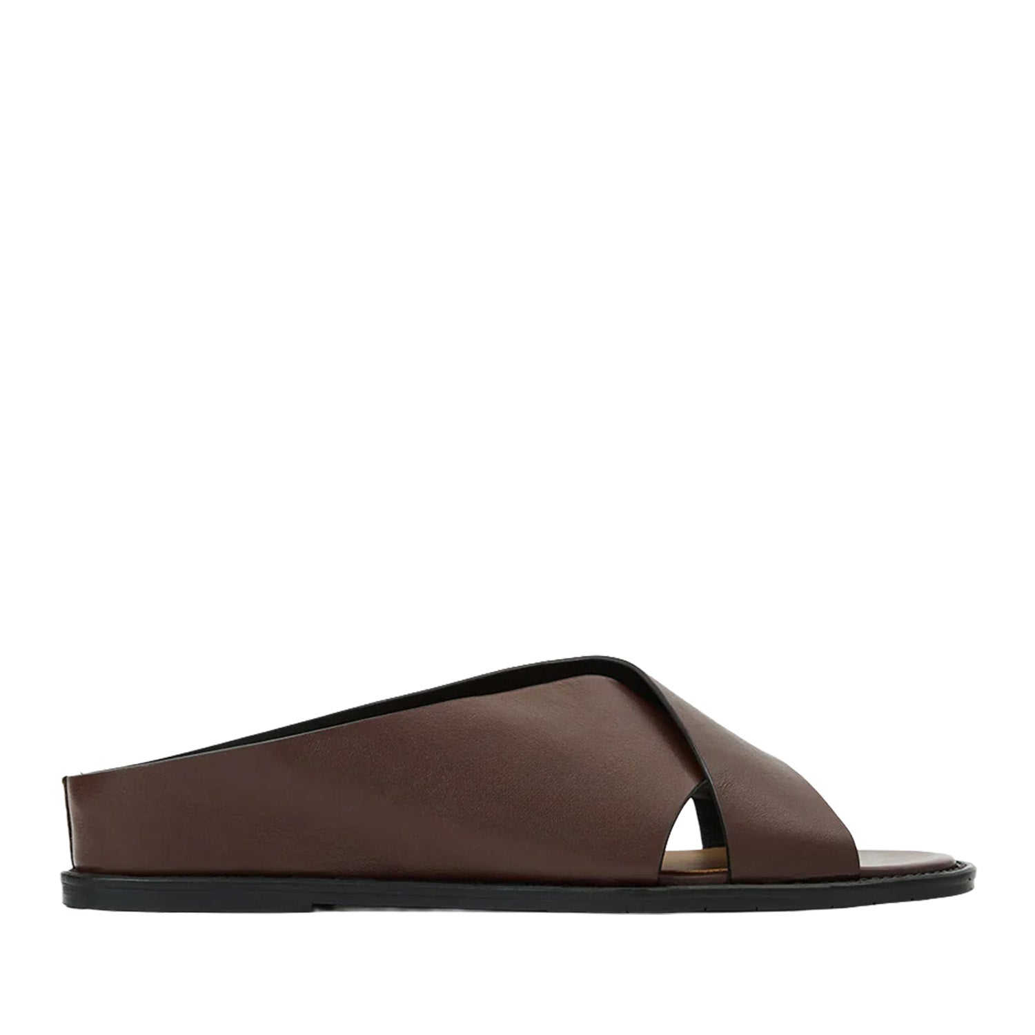 Aquatalia Women's Potenza in Brown
