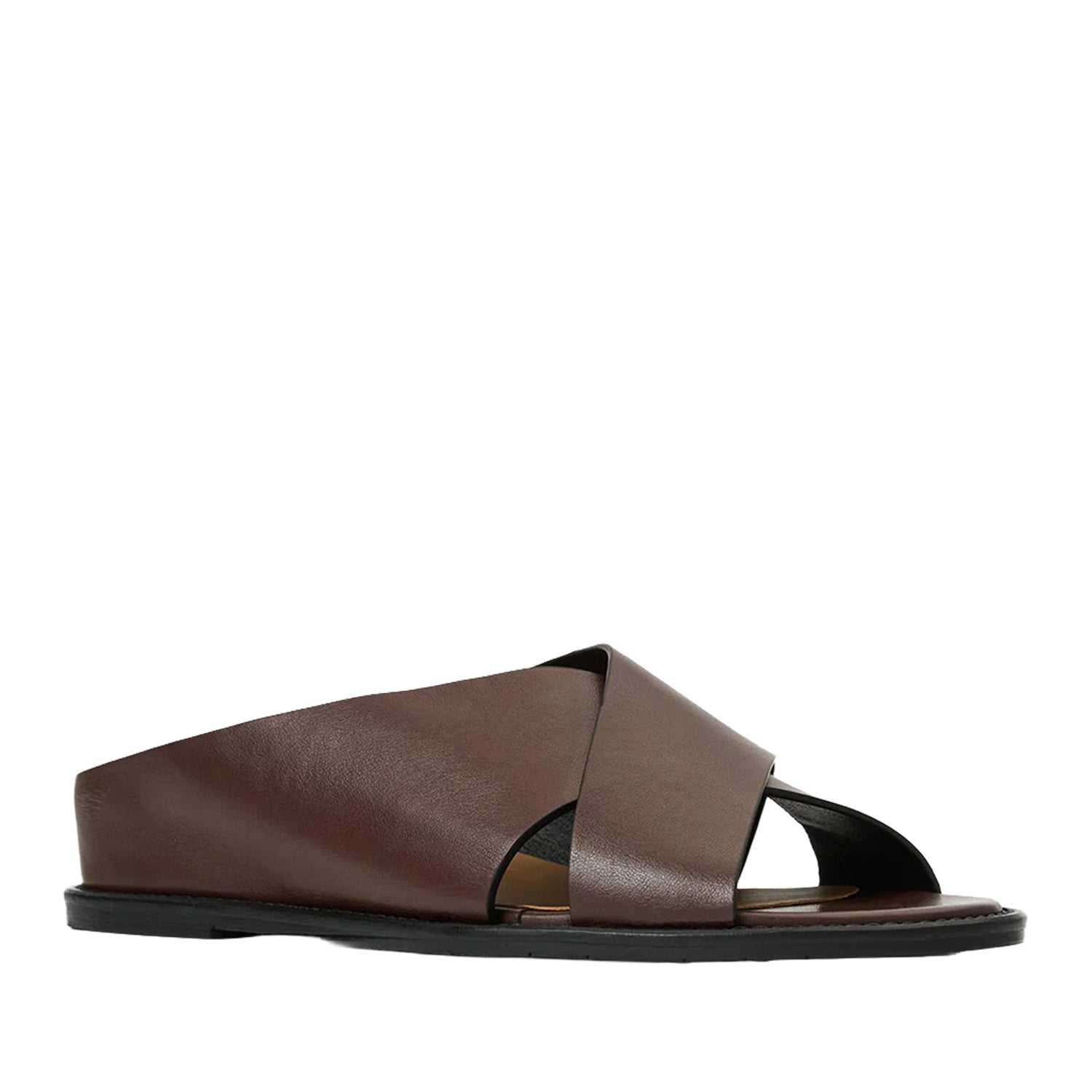 Aquatalia Women's Potenza in Brown