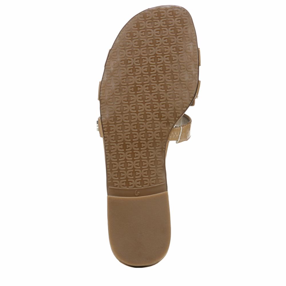 Sam Edelman Women's Bay Brown M