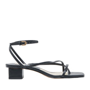 Dolce Vita Women's Karlos in Black