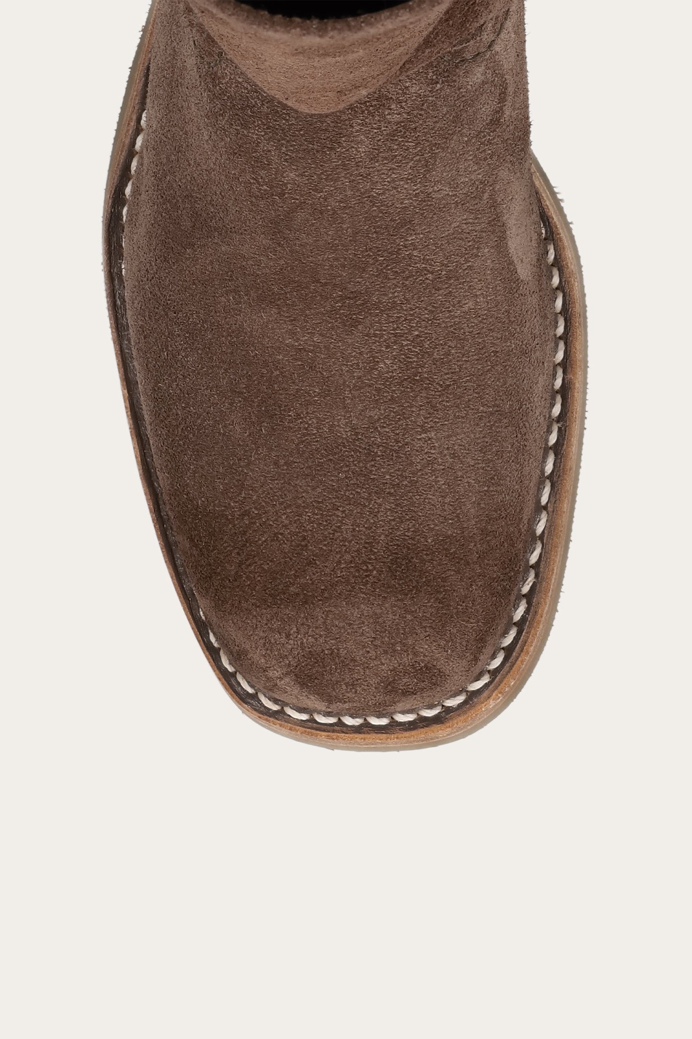 Frye Women's Campus 12R In Brownie/Suede M