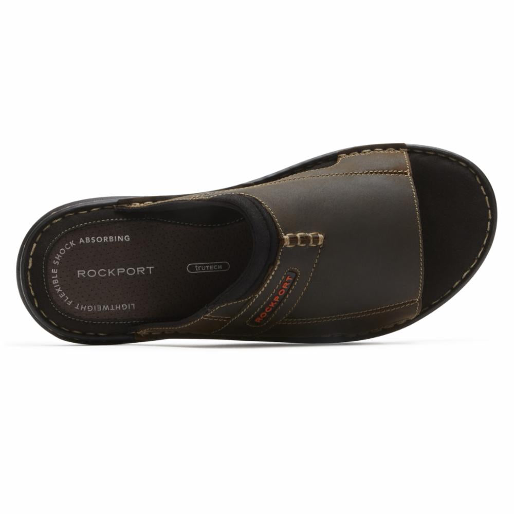 Rockport Men's Darwynslide2 In Brown M