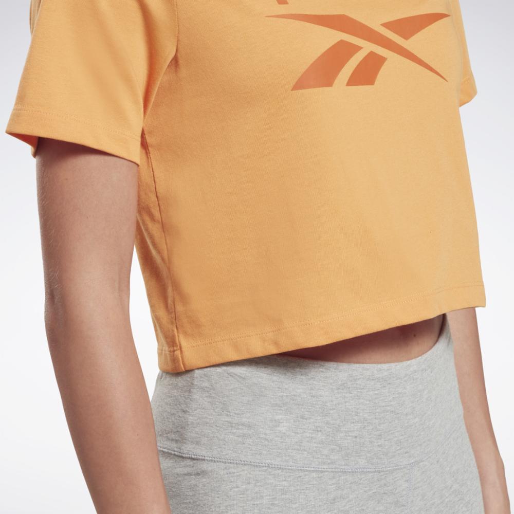 Reebok Women's Ri Bl Crop Tee  In Peafuz REG