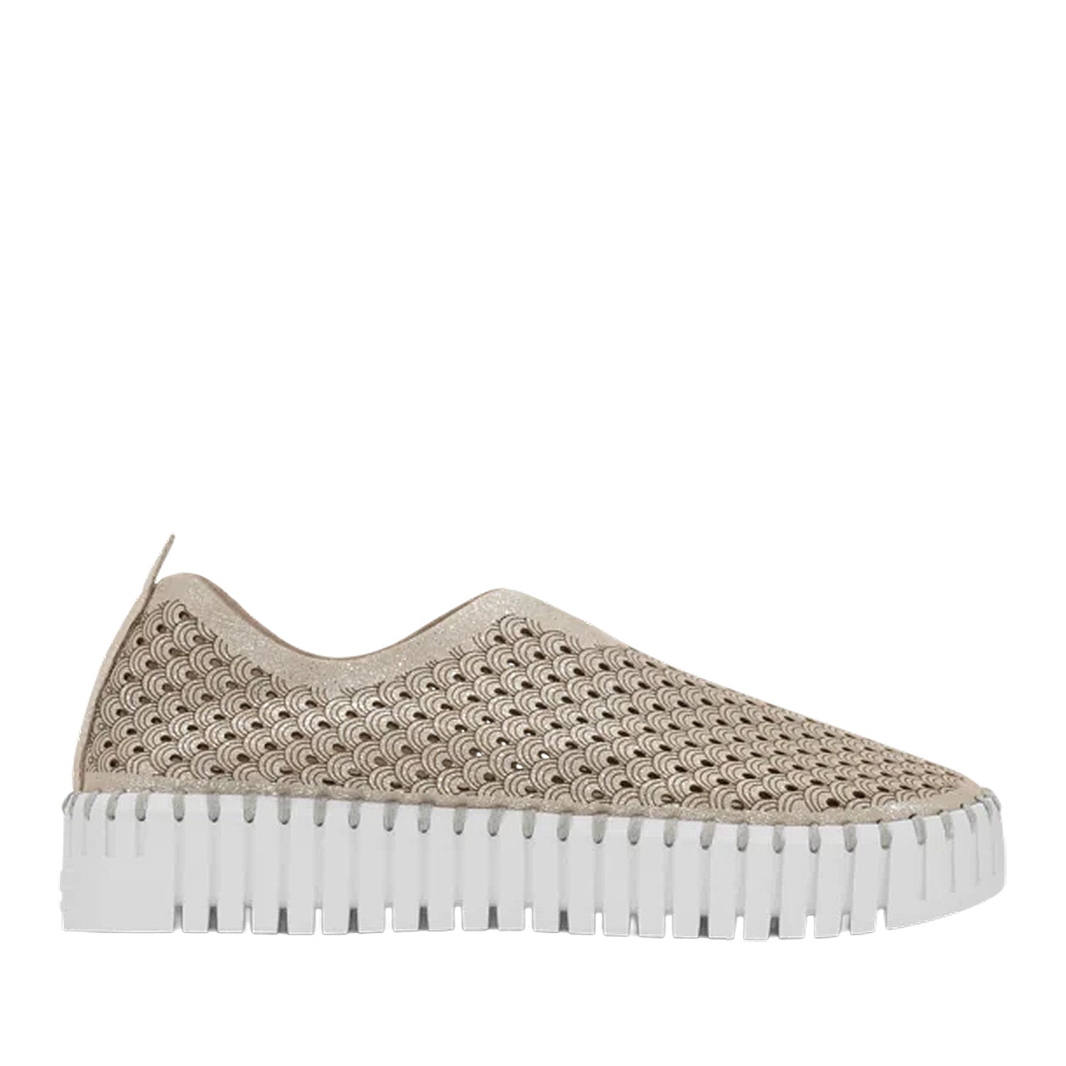 Gold-silver metallic slip-on sneaker on a white background