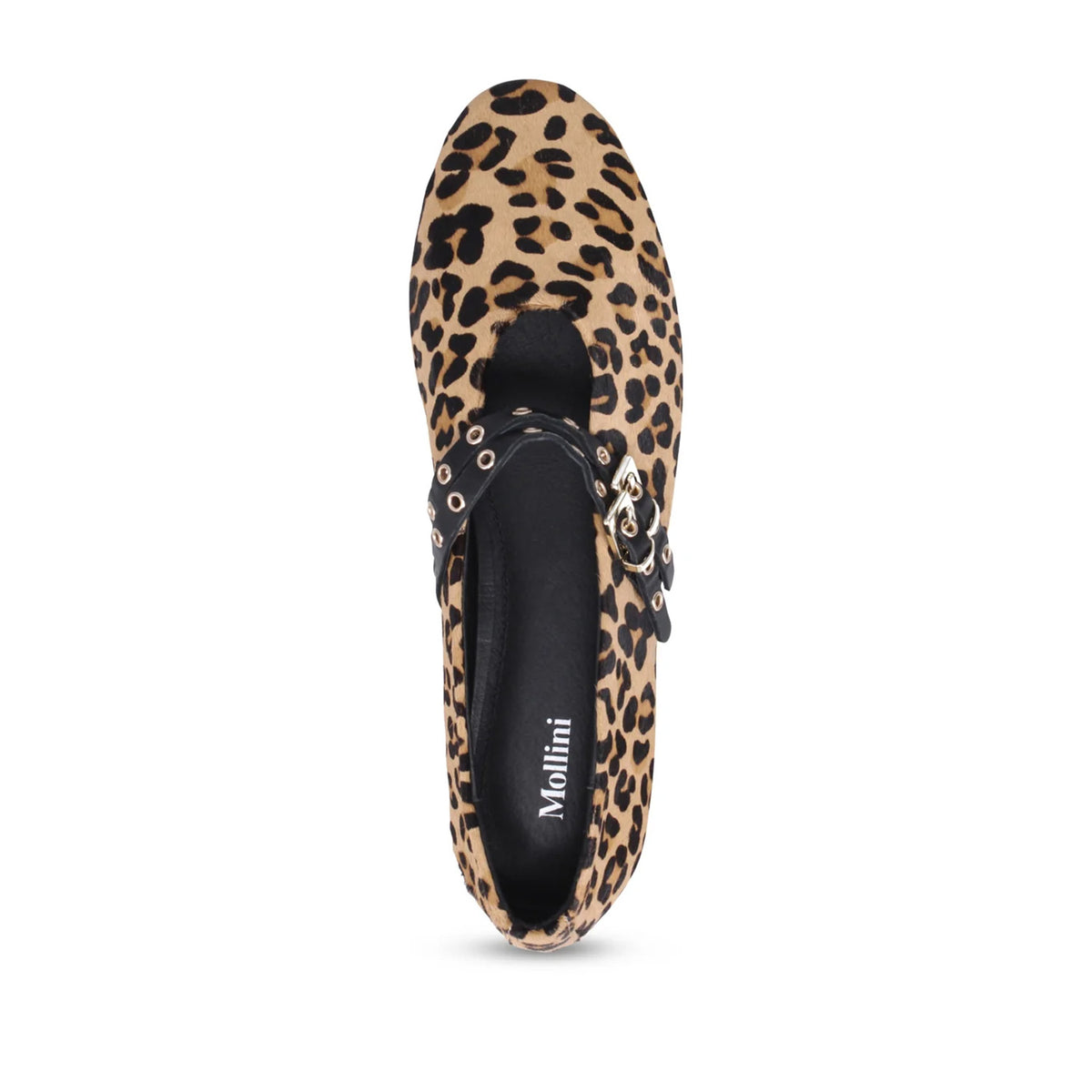 Mollini Women's Haizel Mary Jane Flat in Leopard
