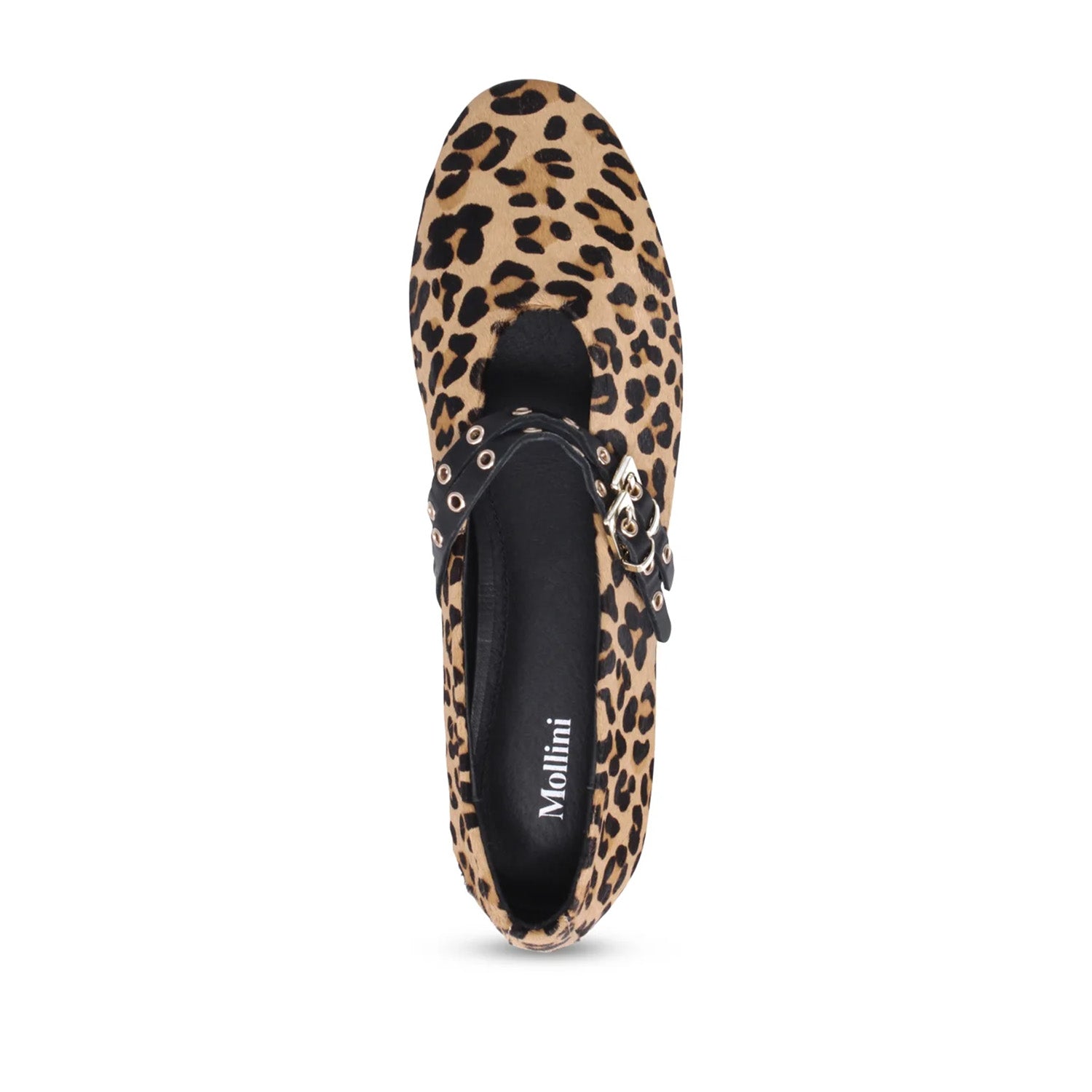 Mollini Women's Haizel Mary Jane Flat in Leopard