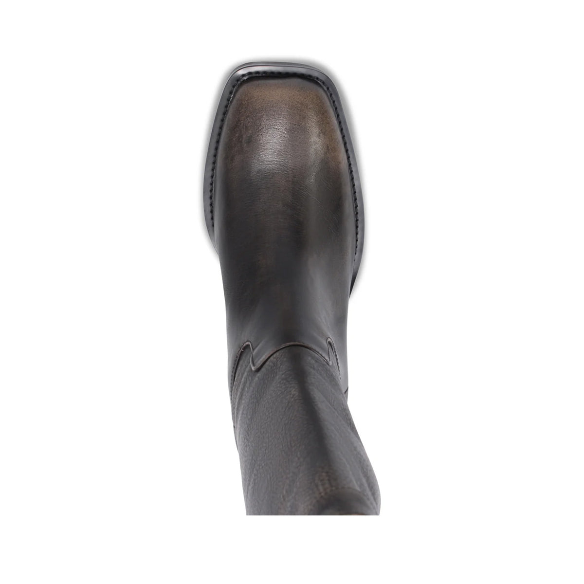 Mollini Women's Heevan Tall Boot in Smokey Black