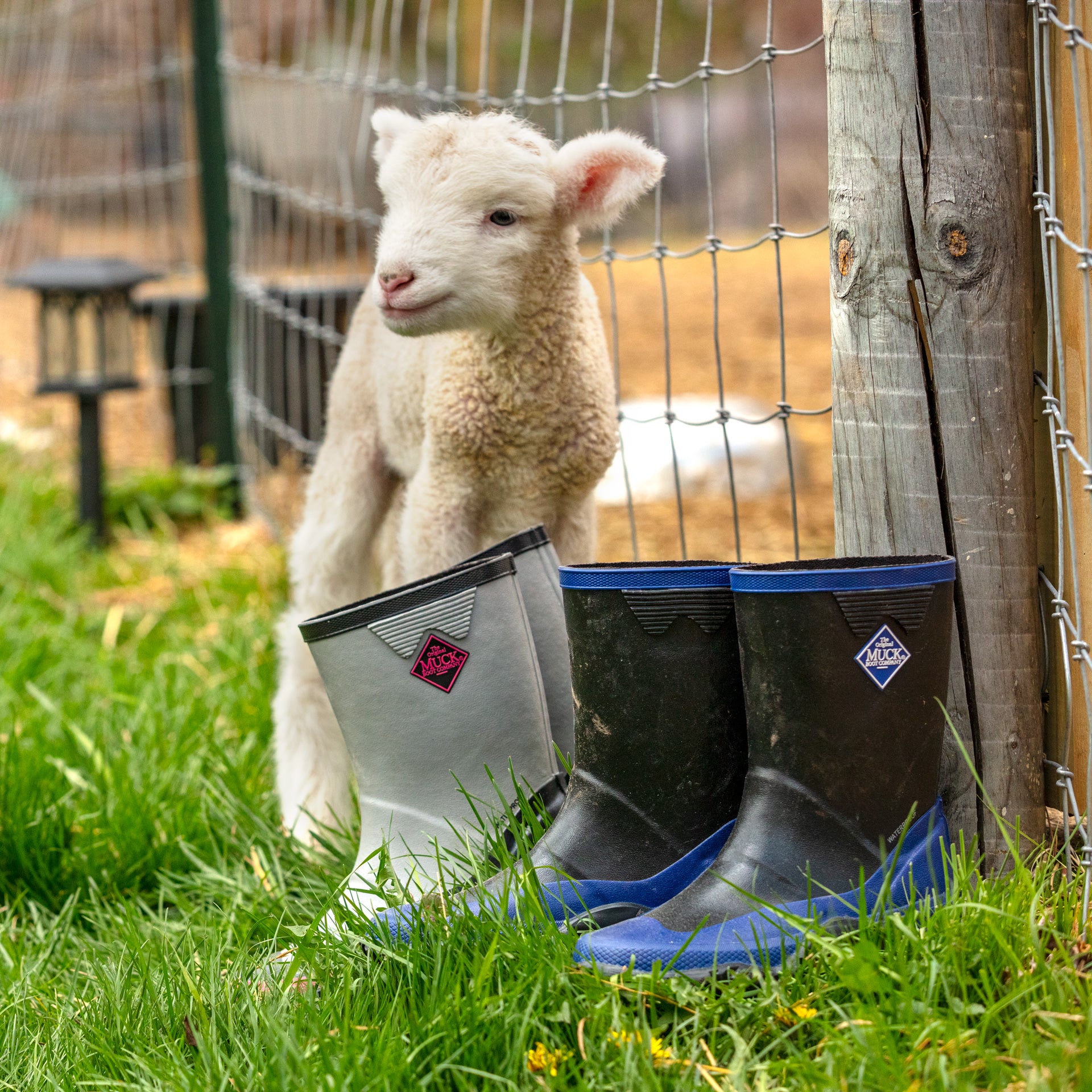 Muck Kids' Frk002 In Black/Blue