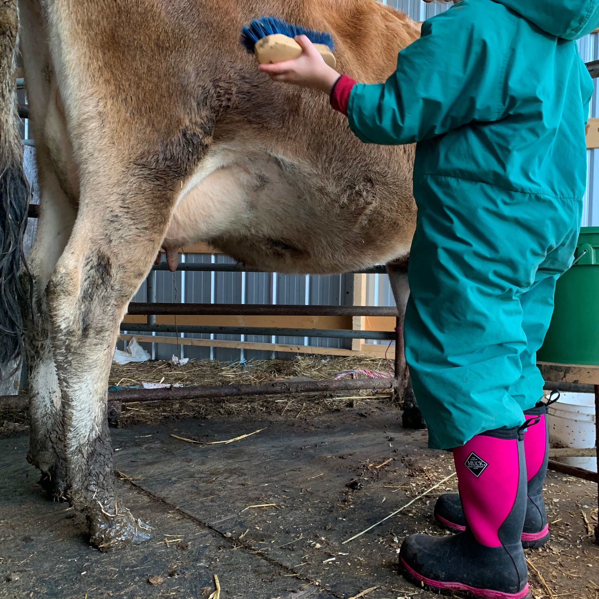 Muck Kids' Rg2400 In Black/Pink