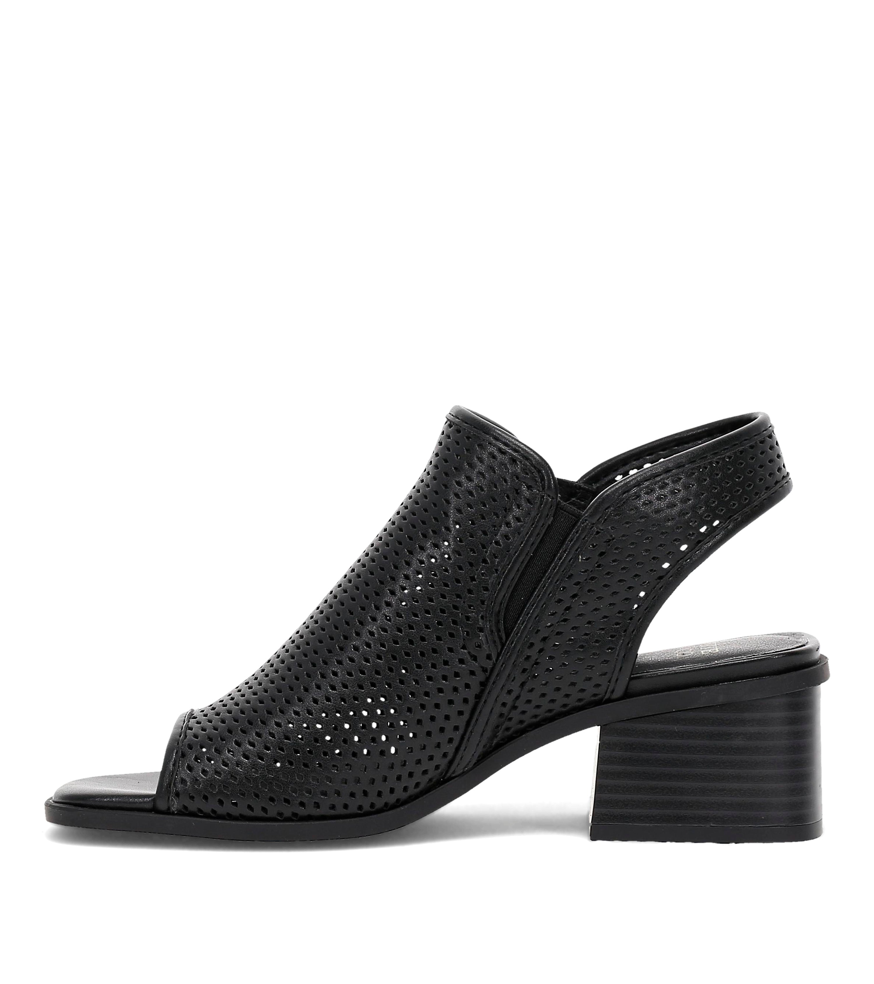 Frye & Co Women's Oasys In Black M