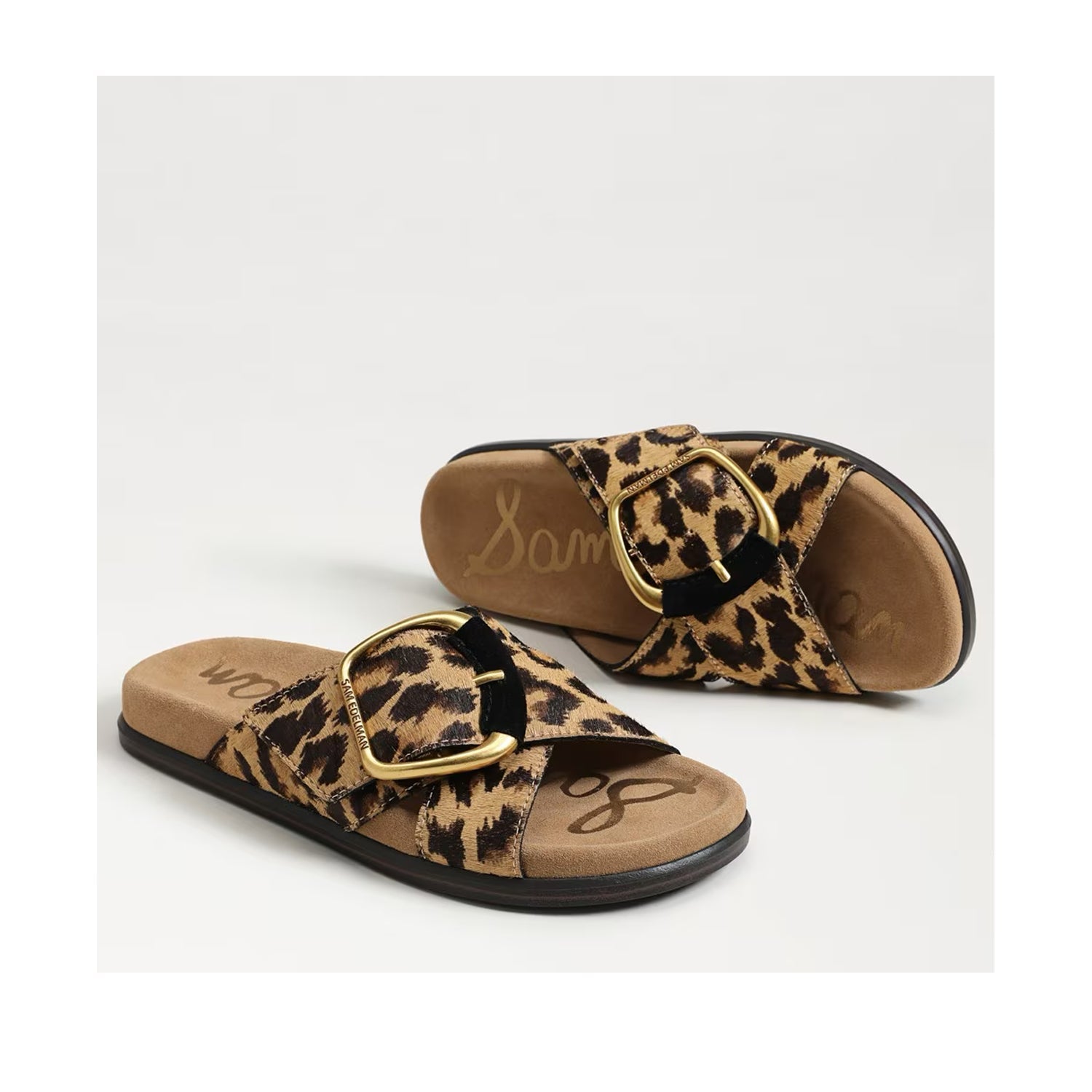 Sam Edelman Women's Darla 2 in Cyprus Tan Multi