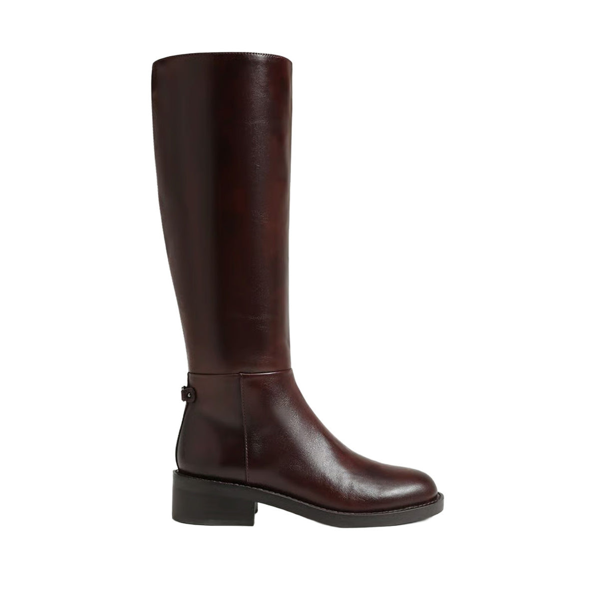Sam Edelman Women's Milla in Dark Brown
