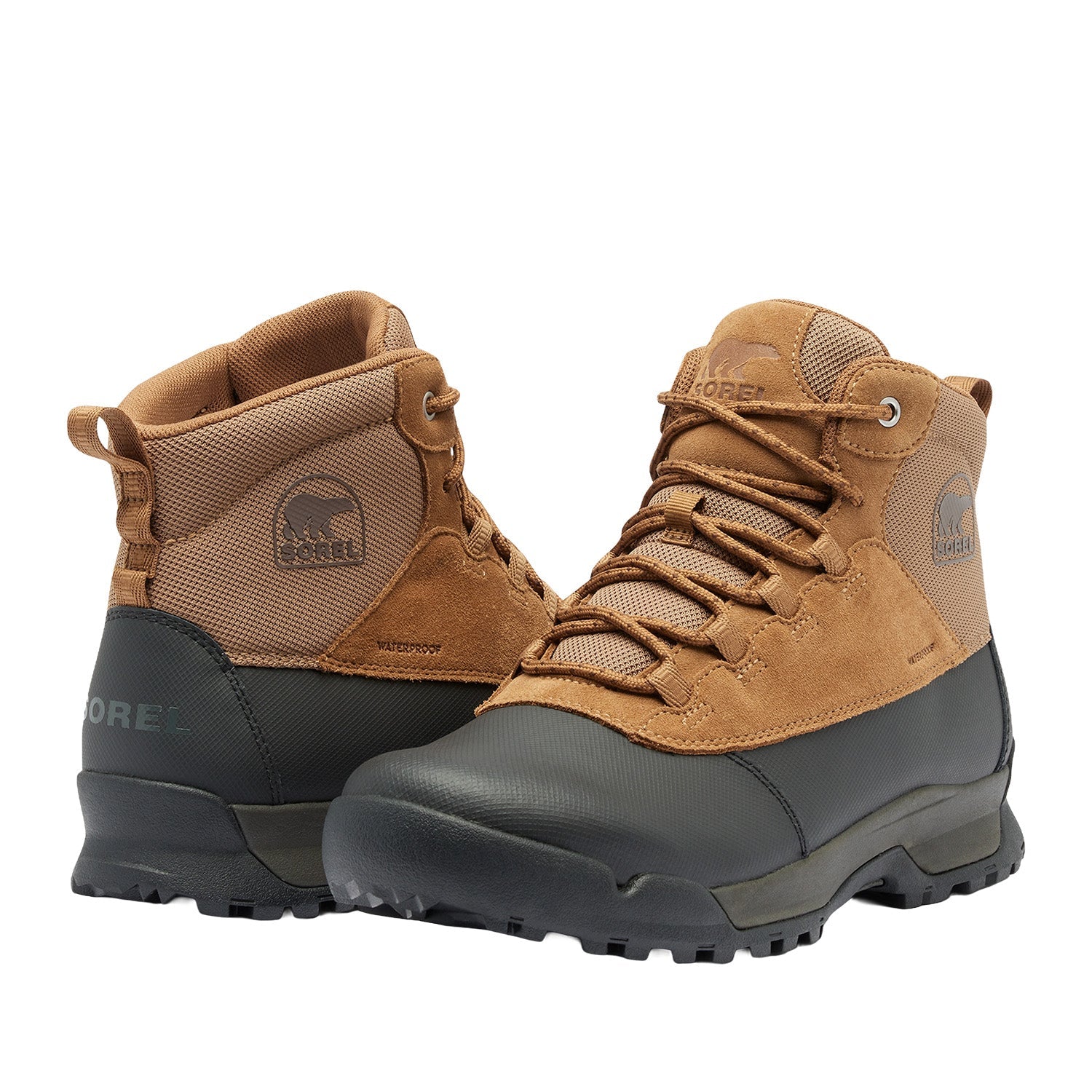 Sorel Men's Buxton Lite Lace Plus WP in Elk/Black