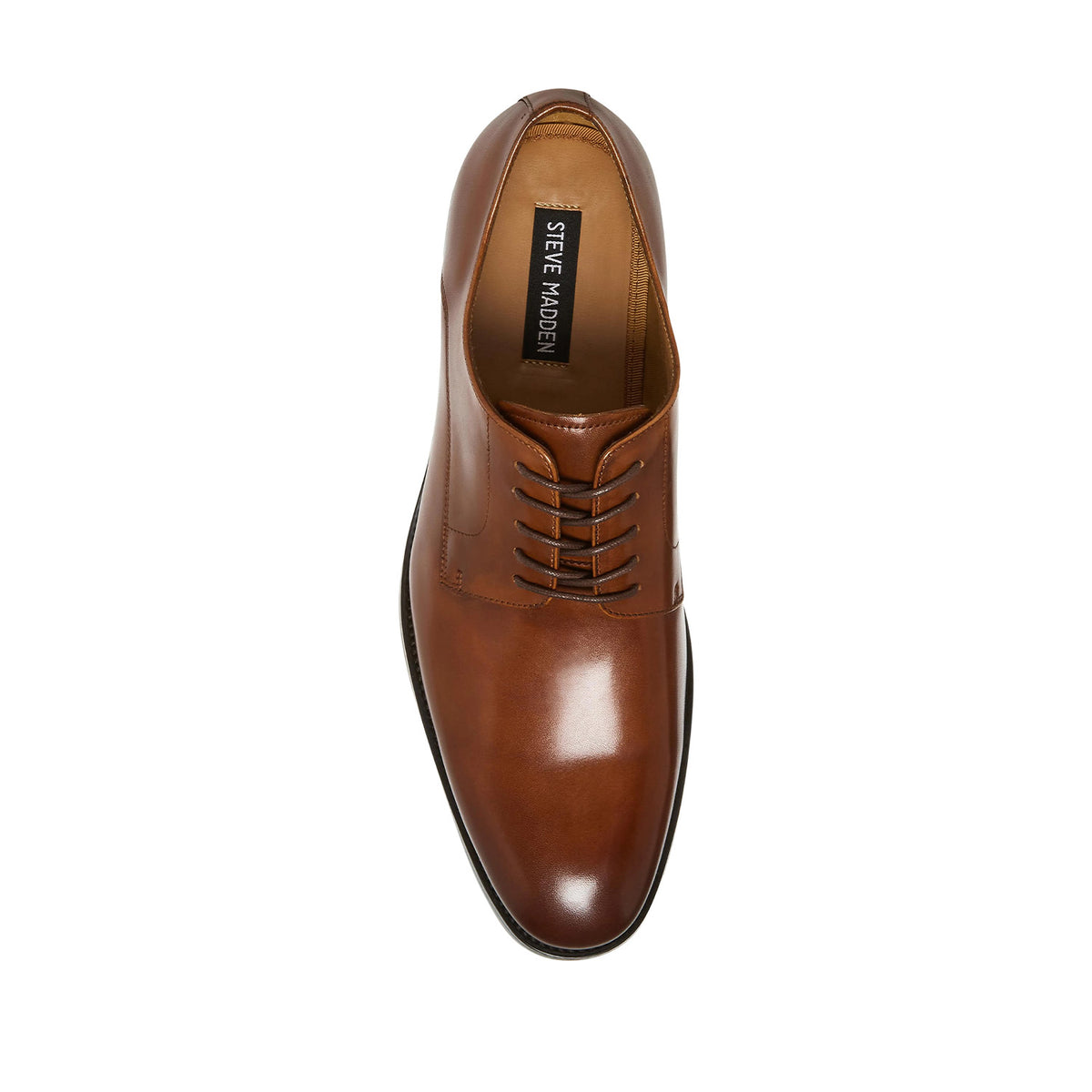 Steve Madden Men's Daedric in Tan