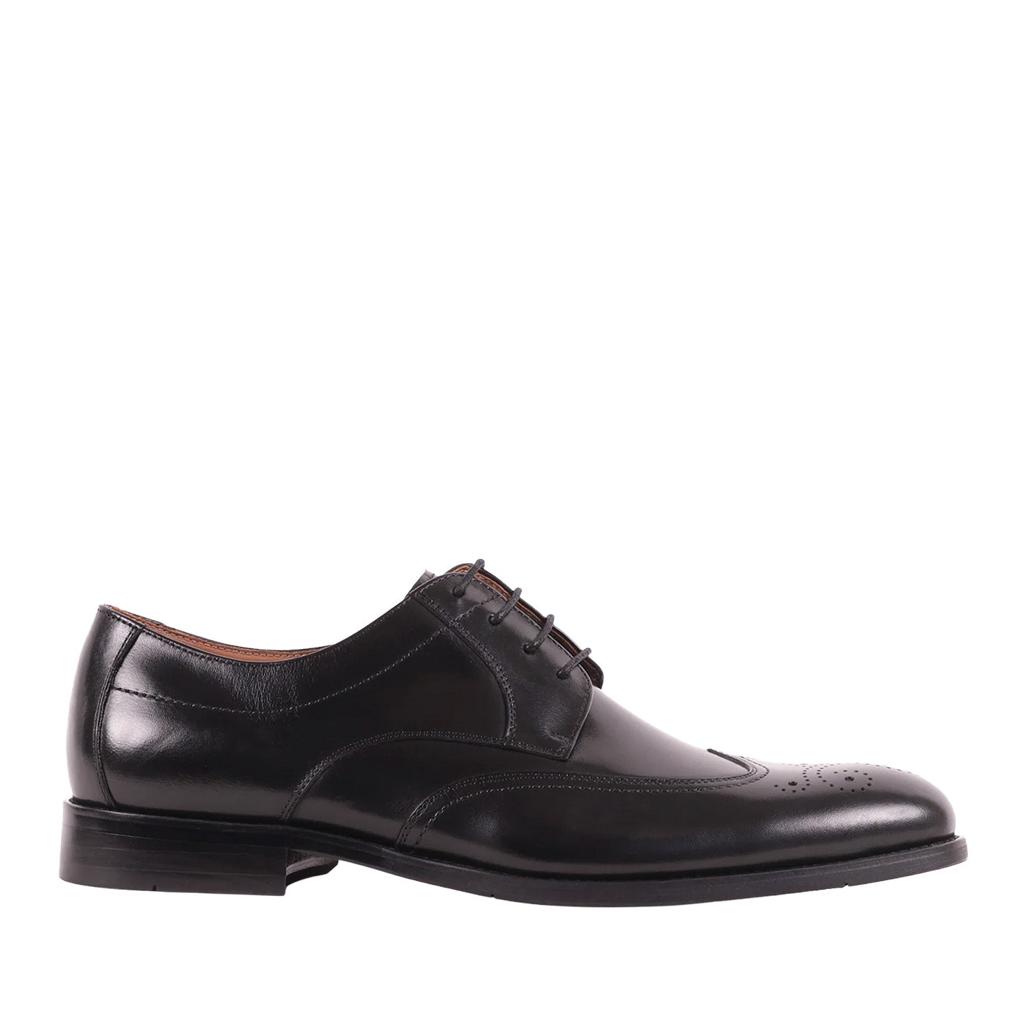 Black dress shoe on a white background