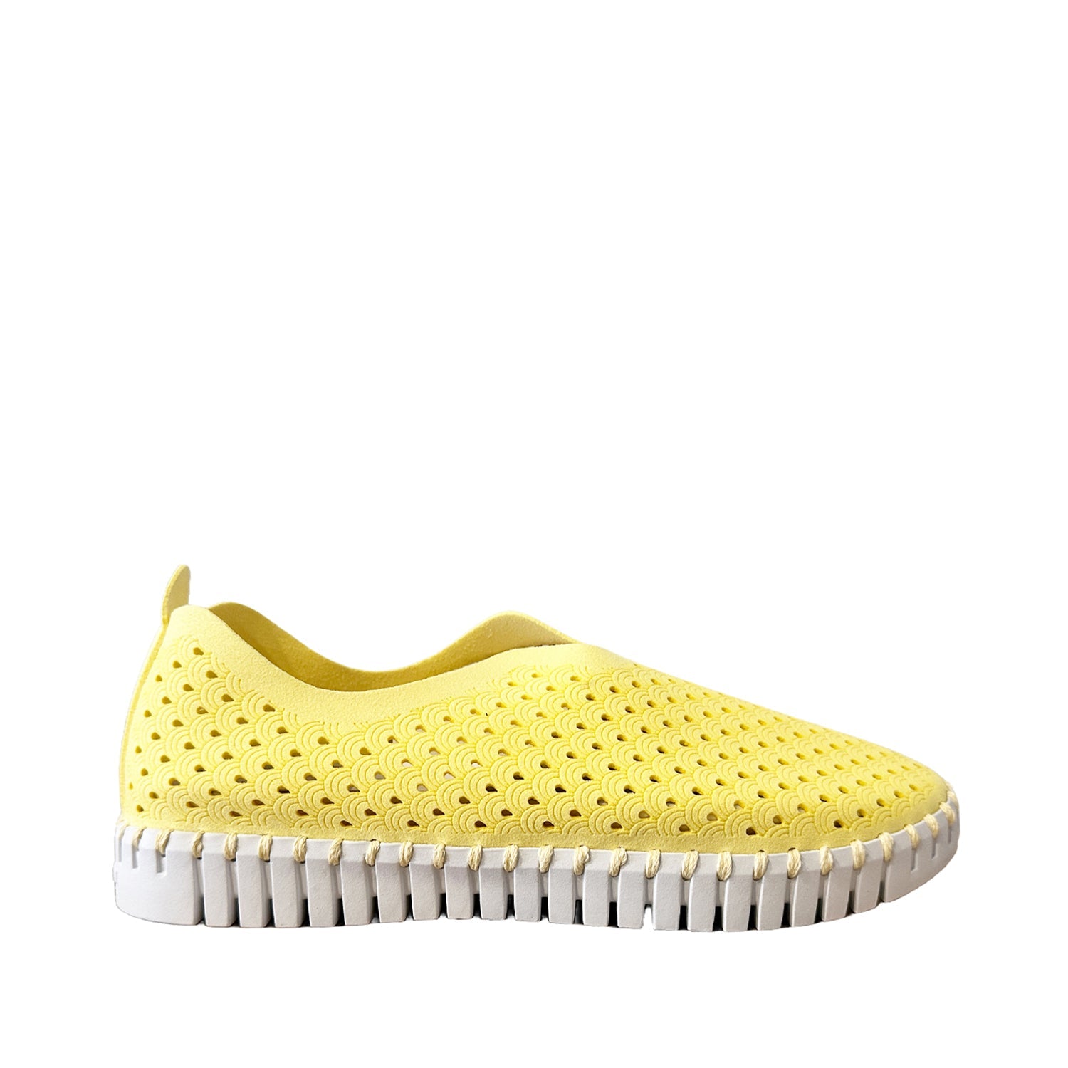 Ilse Jacobson Women's Tulip 139 in Lemon Drop