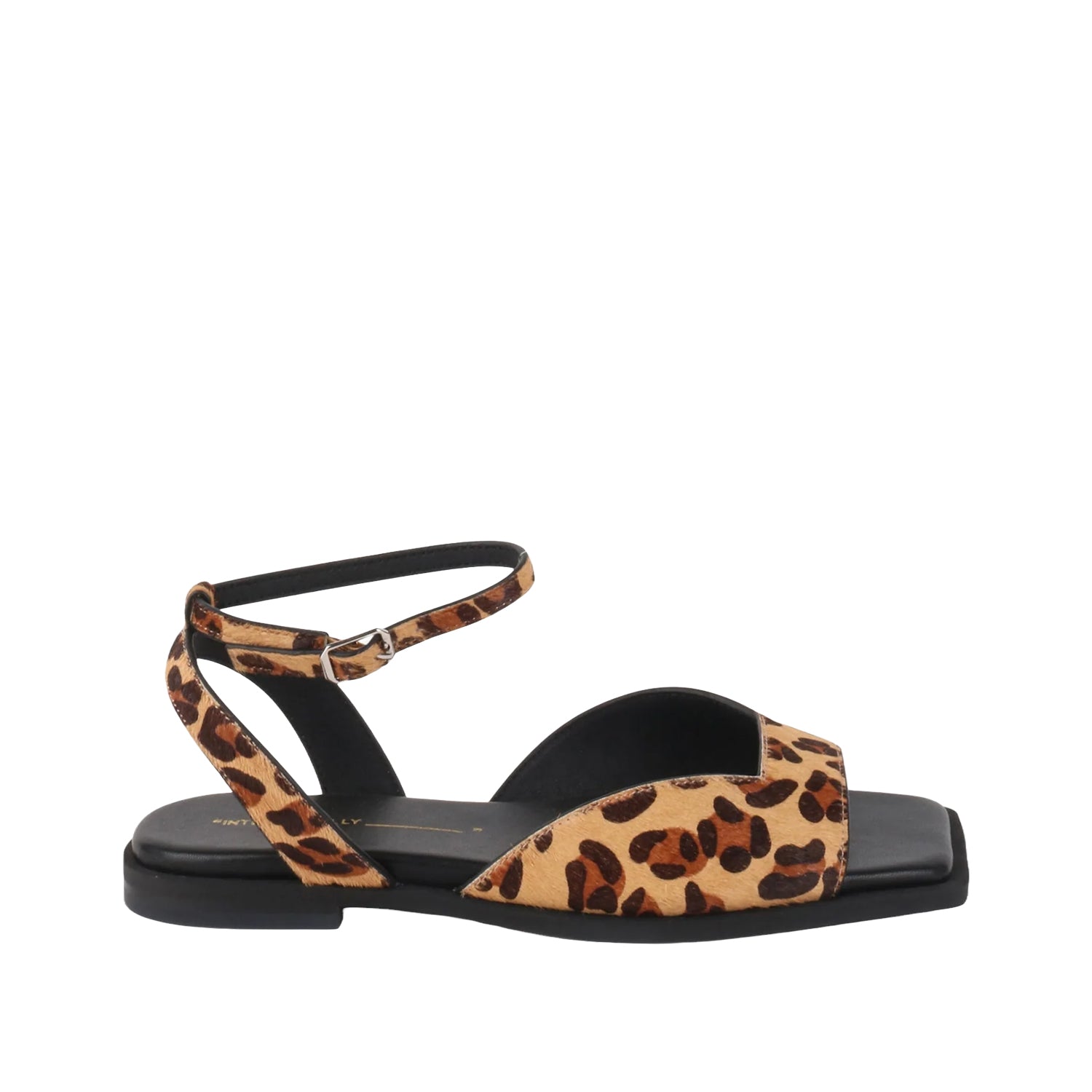 Intentionally Blank Women's Dive in Leopard