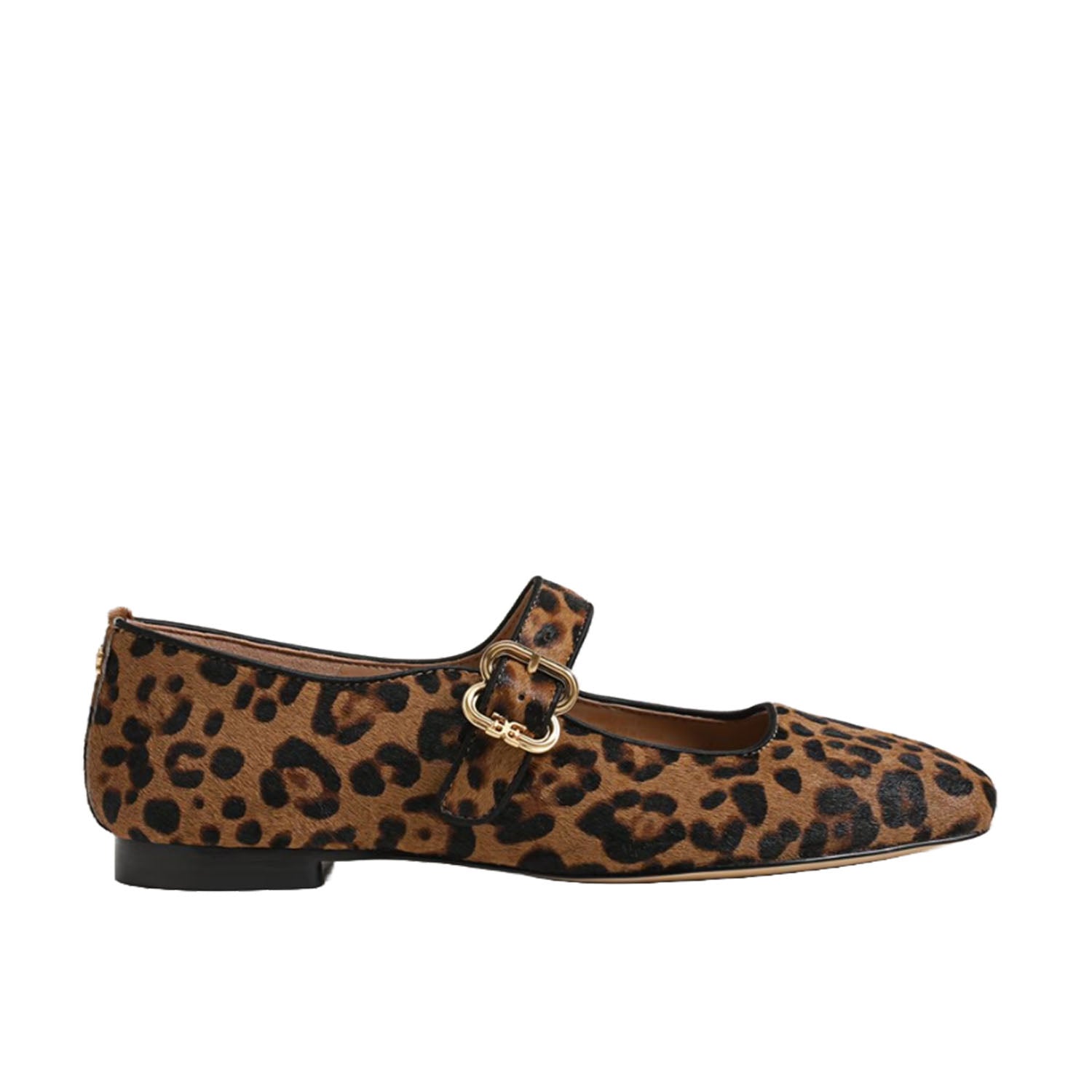 Sam Edelman Women's Michaela in Leopard