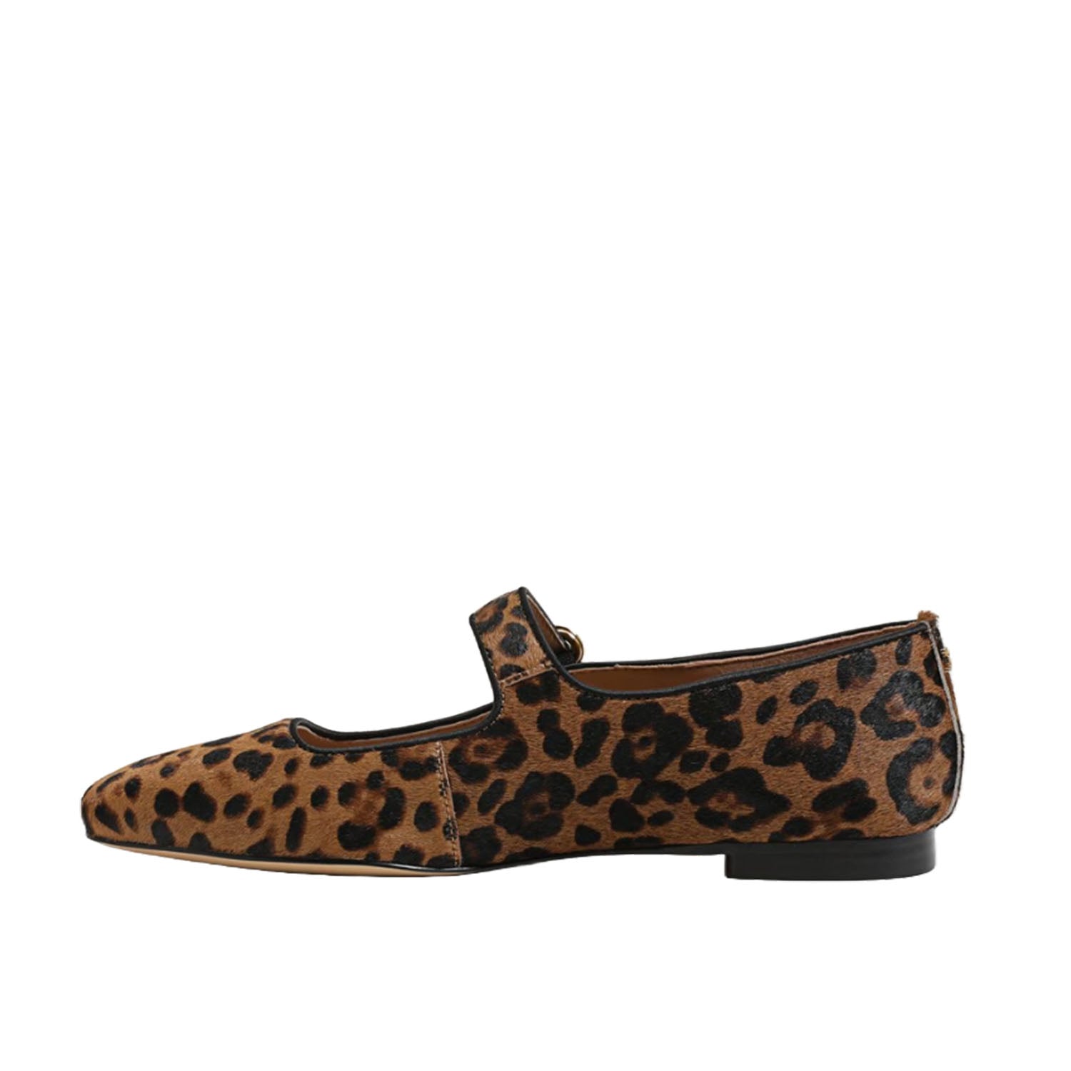 Sam Edelman Women's Michaela in Leopard
