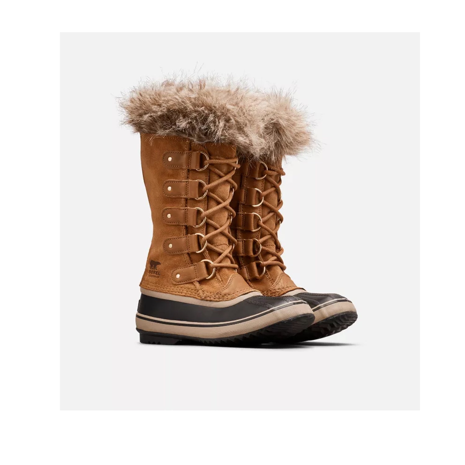 Sorel Women's Joan of Arctic WP in Camel Brown, Black