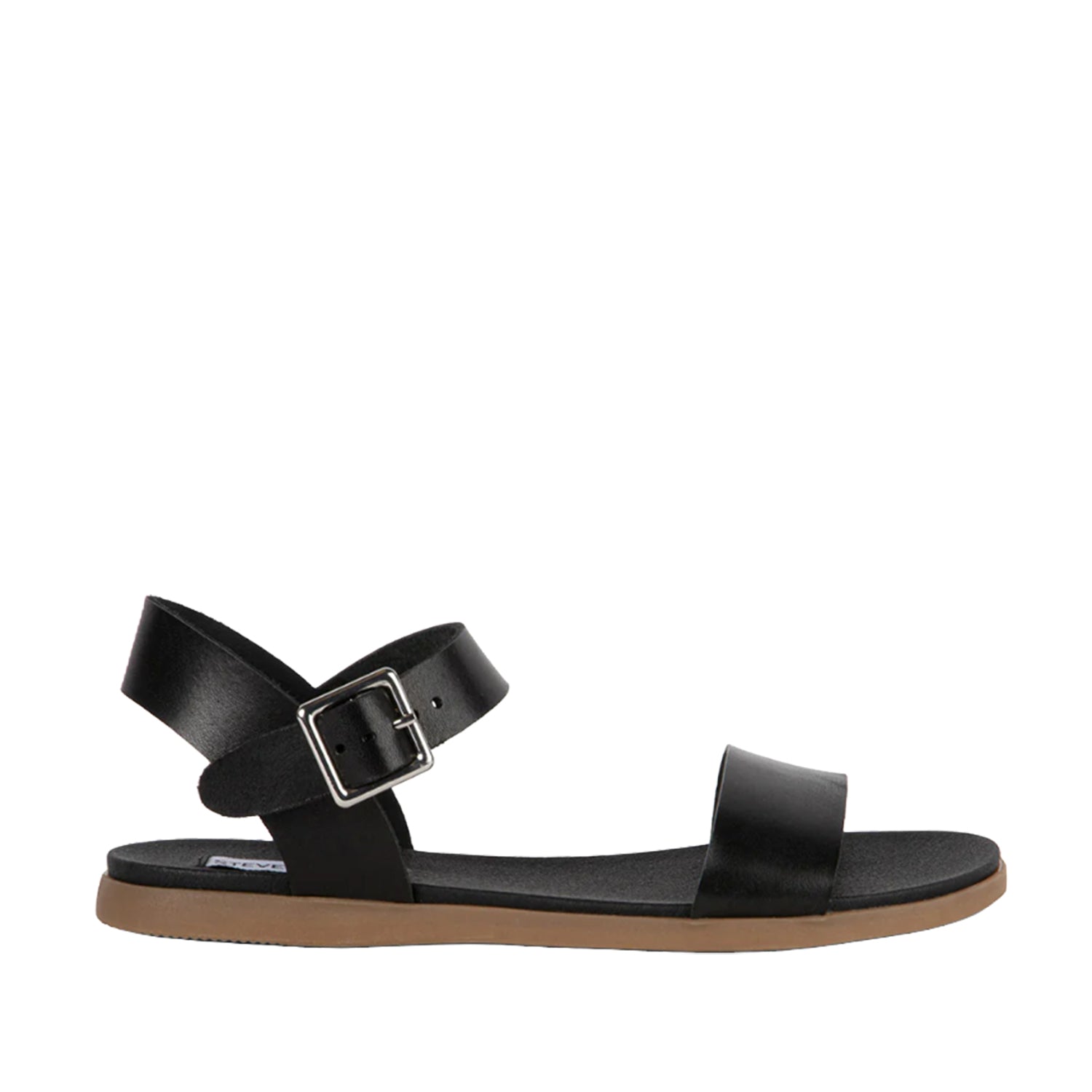 Steve Madden Women's Daryn in Black