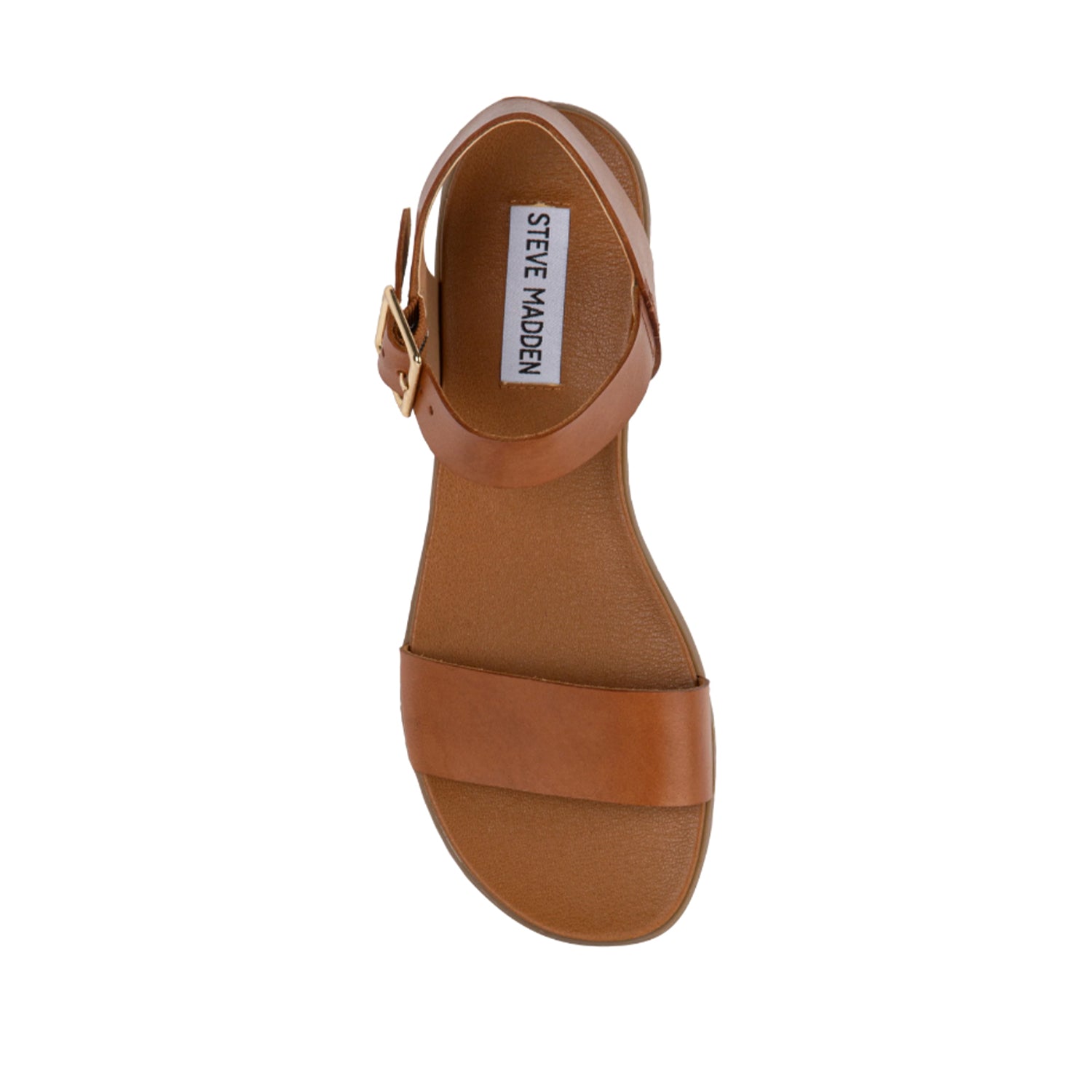 Steve Madden Women's Daryn in Cognac