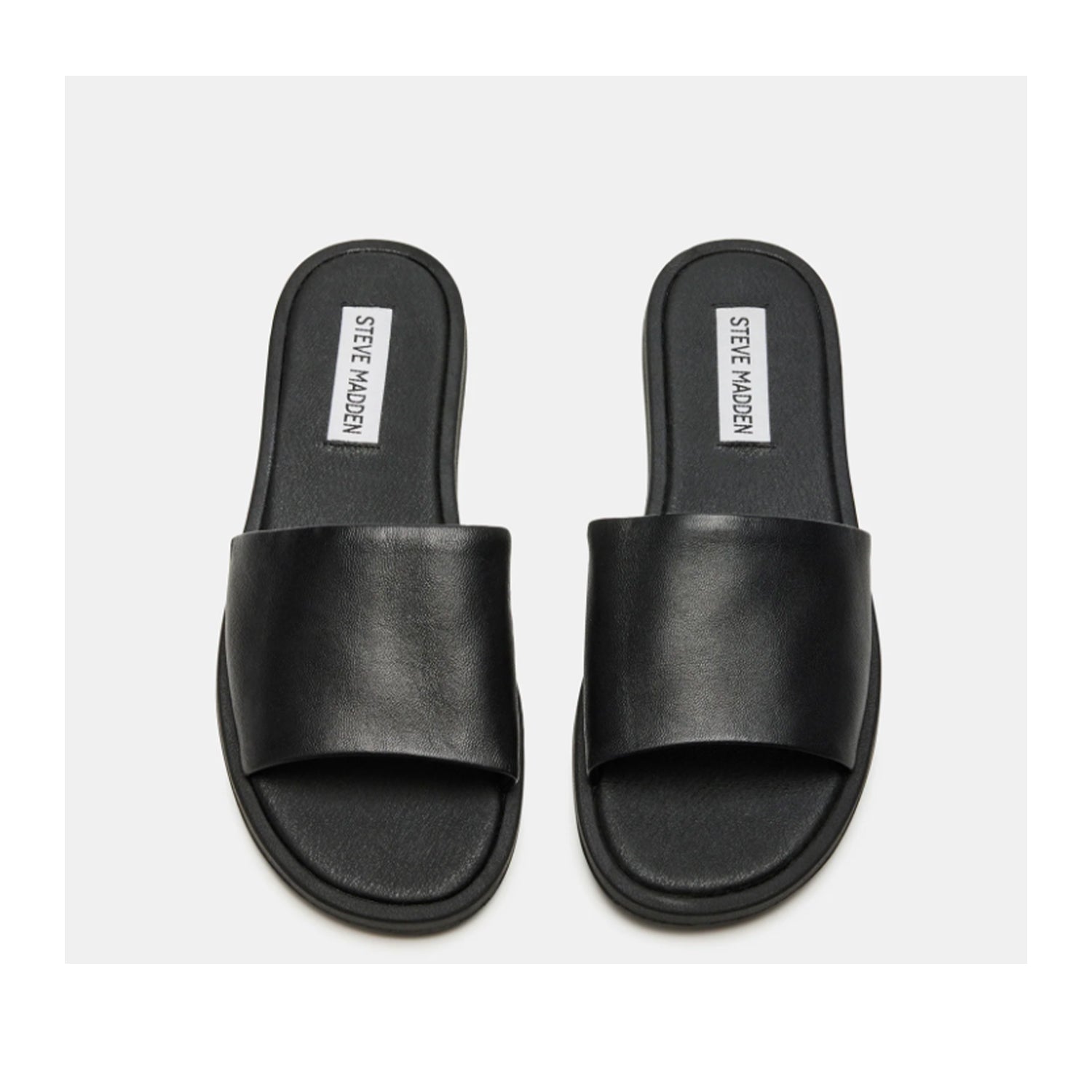 Steve Madden Women's Kaya in Black