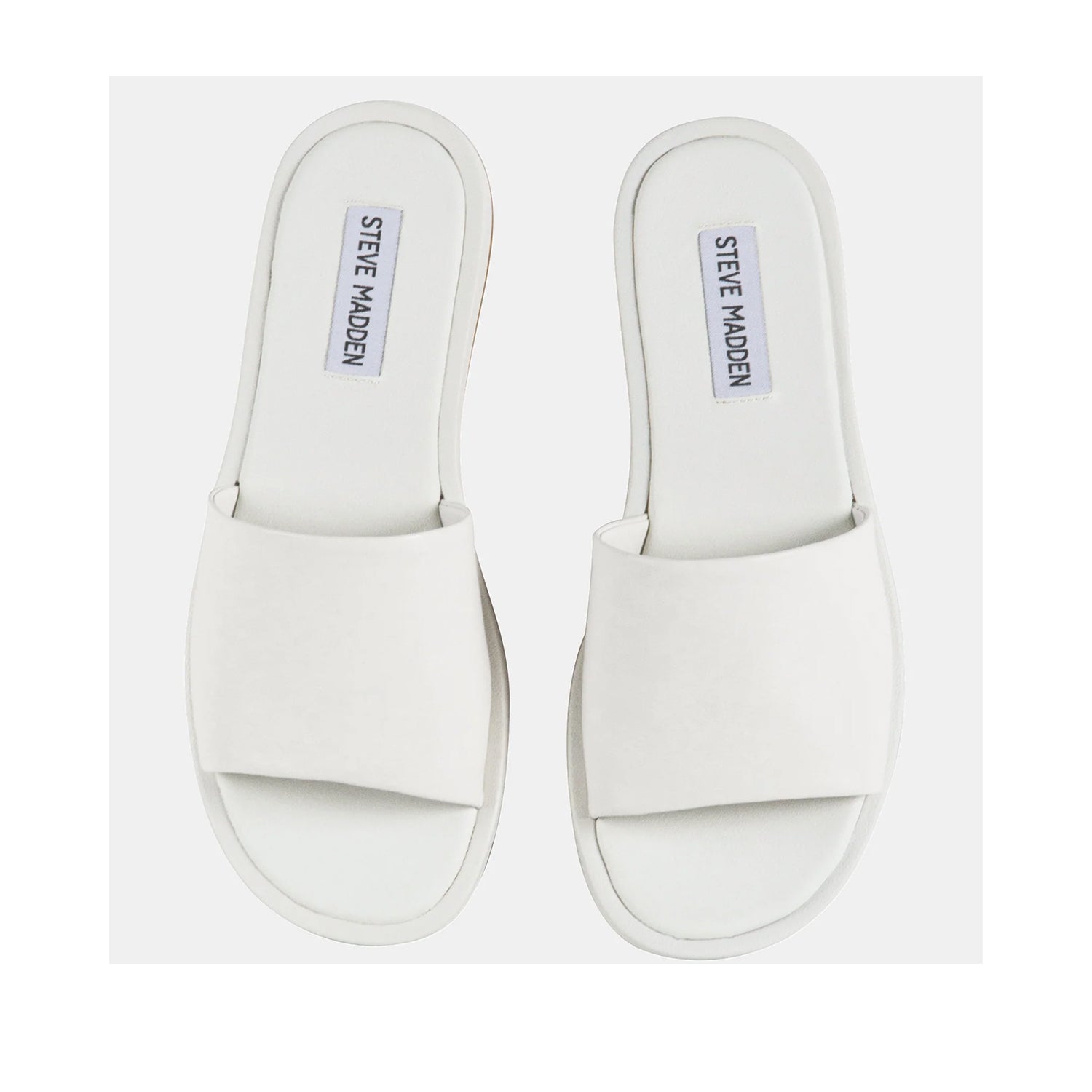 Steve Madden Women's Kaya in White