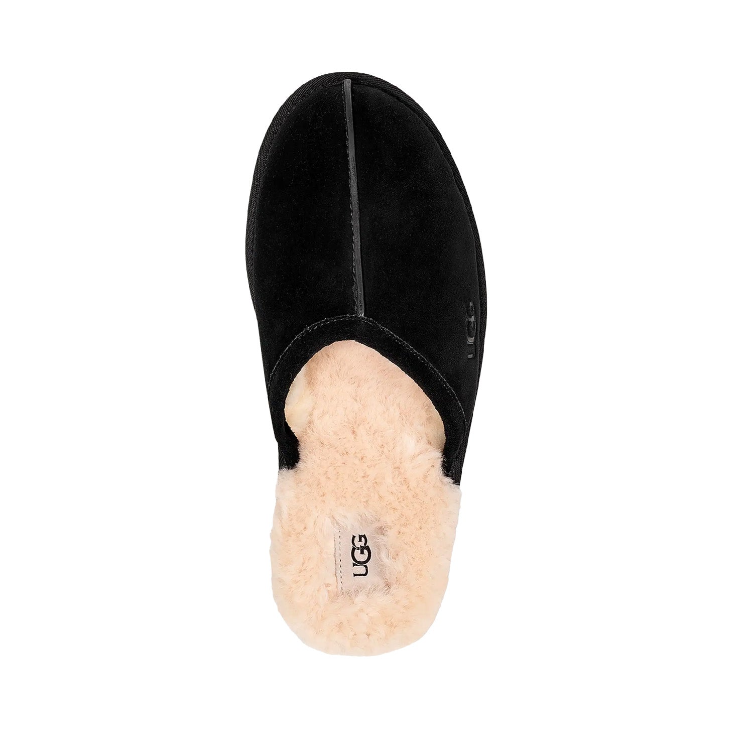 UGG Men's Scuff in Black Suede