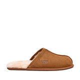 UGG Men's Scuff in Chestnut